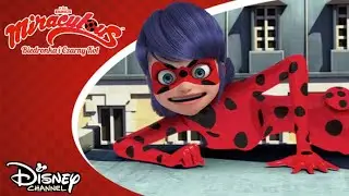 🐺 Wilczy głód | Miraculous: Biedronka i Czarny Kot | Disney Channel Polska