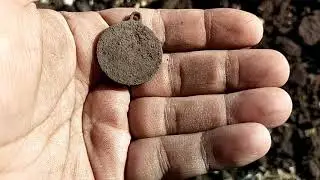 Хроніки копа 30.09.2023, остання і неочікувана знахідка вересня