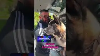 That was very brave of him😱🤭😂Inst: _animacia_