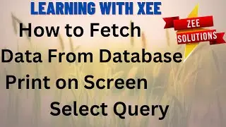 How to Fetch Data From database and Print on Screen | Select Query
