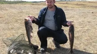 Ловля толстолобика в Донецкой области.