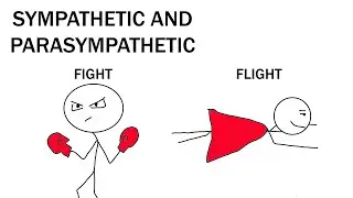 Fighting in Brain