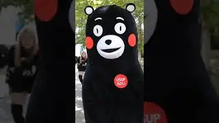 Кумамон