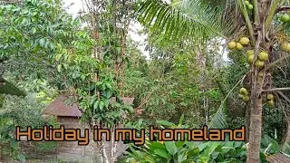 Holiday in the village of My birthplace