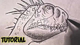 SCORPIUS REX Head Drawing Tutorial
