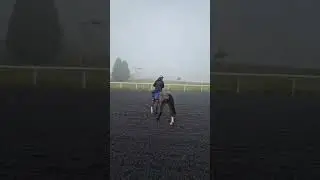Туманное утро на лошади..😍