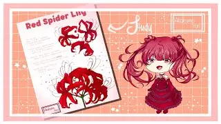 Drawing #1 - Red Spider Lily