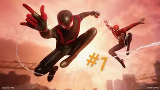 Spider Man Miles Morales #11