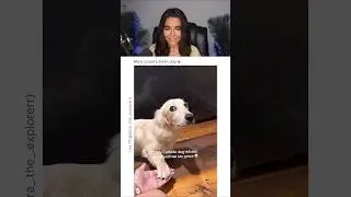 Her Dog Believes in God 😭