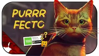 STRAY es PERFECTO 😻 por 1 motivo y ¡NO es por el gato!