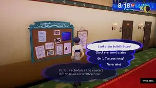 RARE DIALOGUE IN TARTARUS P3R
