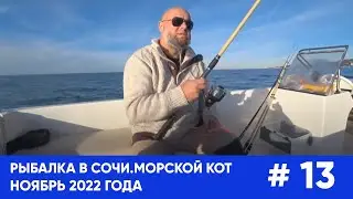 Трофейная рыбалка в Сочи. Ноябрь 2022 года. Морской кот. Как не надо делать.