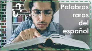 Palabras raras del español