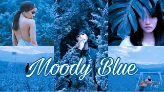 Free presets DNG Moody Blue | Lightroom Mobile
