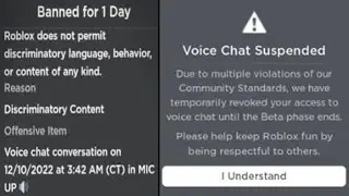roblox voice chat bans