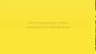 Узнай, сколько трафика ты тратишь в месяц! Смотри подробные отчеты в приложении «Мой Beeline»