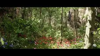 Nanite Forest | 1.5 Hour Concept | Unreal Engine 5.1 Programmable Raster
