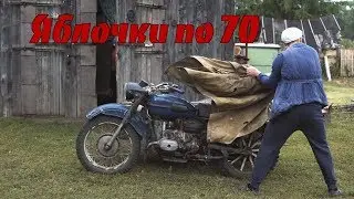 Яблочки по 70