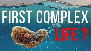 Complex life may be older: 2.1-Billion-Year-Old Franceville finds - fossils?