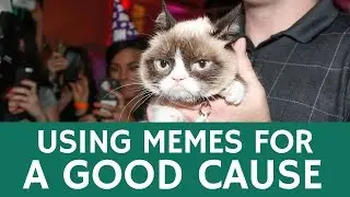 How Viral Memes Raise Money for Good Cause & Help Charities