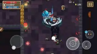 Almost Perfect Setup | Soul Knight