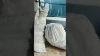 1 июня 2024 г.