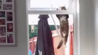 Пример целеустремлённости