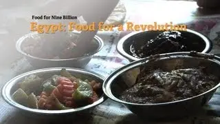 Egypt: Food for a Revolution