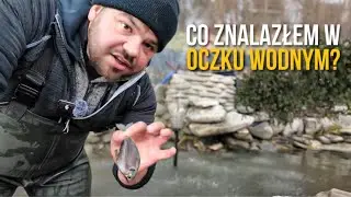 CZYSZCZĘ OCZKO WODNE