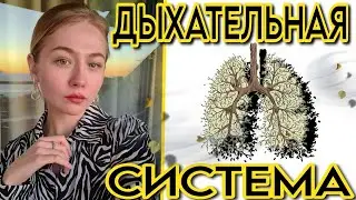 ДЫХАТЕЛЬНАЯ СИСТЕМА ЧЕЛОВЕКА ЕГЭ,ОГЭ/СТРОЕНИЕ ОРГАНОВ ДЫХАНИЯ, ВДОХ,ВЫДОХ /ЖИЗНЕННАЯ ЕМКОСТЬ ЛЕГКИХ
