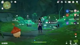 Aranara Chests