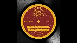 Prince Chamba meets Zulu Vibes - Judgement Dub
