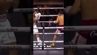 Got Rolly wobbling badly😮‍💨 #boxing