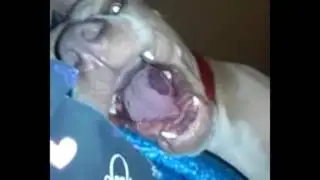 Poking the Pittie - Ely and Friends