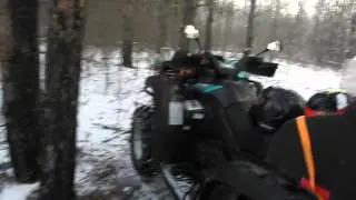 31.12.15. Ресторан Сосновый.