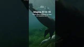 Марка 