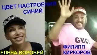 ЦВЕТ НАСТРОЕНИЯ СИНИЙ! ИНТЕРВЬЮ С ЕЛЕНОЙ ВОРОБЕЙ! КИРКОРОВ. ЗА КУЛИСАМИ КОНЦЕРТОВ.