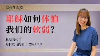 耶稣如何体恤我们的软弱？｜每日 - 20240909
