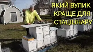 Який вулик краще для стаціонару #бджільництвов6тирамвуликах