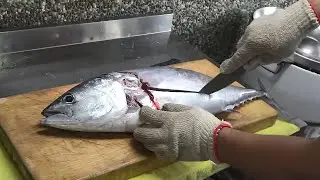 How to Make Perfect Skipjack Tuna Sashimi – Ocean to Plate Experience!