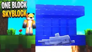 Minecraft Skyblock But You Only Get 1 Block (7)