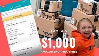 4 Year Old's $1,000 Amazon Shopping Spree