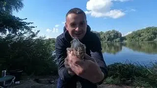 Рыбалка На Дону. Лещей заказывали. Фидерная рыбалка.