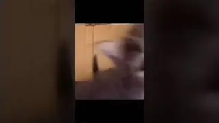 Как вам концерт?