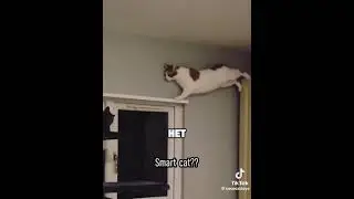 НЕ ДЕЛАЙ ЭТОГО!  