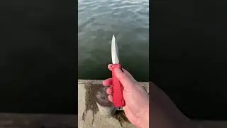 Daggerr Кощей