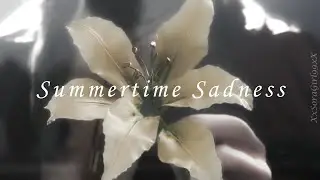 Cloud & Aerith || Summertime Sadness