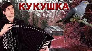😢СЛЕЗЫ ТЕКУТ РУЧЬЕМ! Кукушка. Афганистан. Память... - поет Вячеслав Абросимов