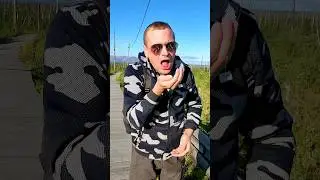 Залетел немного в тундру.. А у тебя красивее природа?