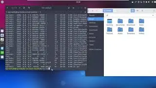 Comandos comunes en la terminal de Linux (Ubuntu)